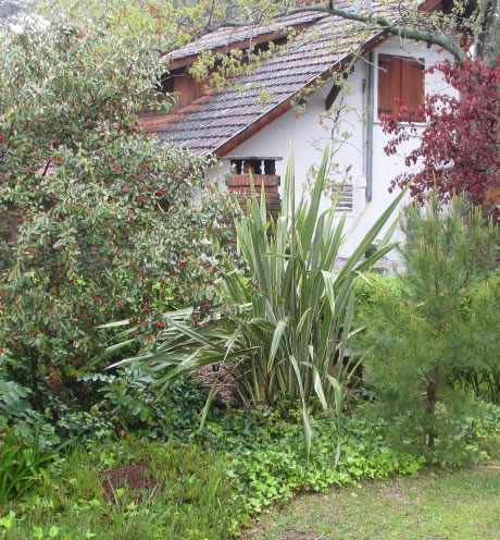 Alpina Hostera | Villa Gesell