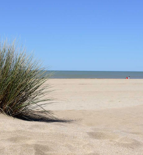 Alpina Hostera | Villa Gesell