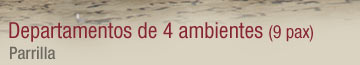 Departamentos de cuatro ambientes - Parrilla