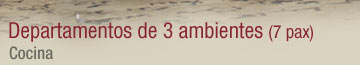 Departamentos de tres ambientes - Cocina