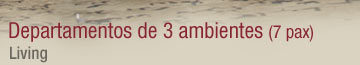 Departamentos de tres ambientes - Living