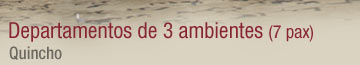 Departamentos de tres ambientes - Quincho
