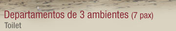 Departamentos de tres ambientes - Toilet