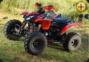 QUAD RACER 250